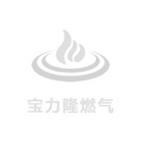 中国在四川新探明天然气储量逾920亿方